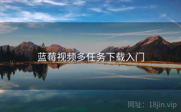 蓝莓视频多任务下载入门