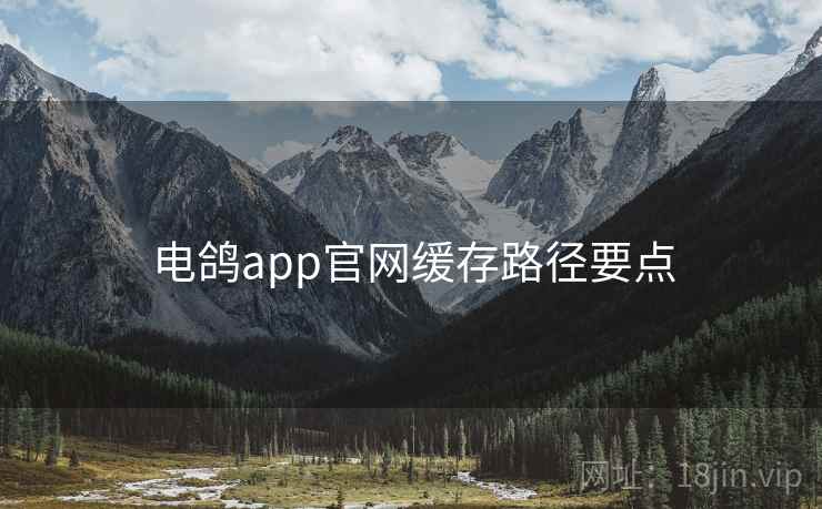 电鸽app官网缓存路径要点