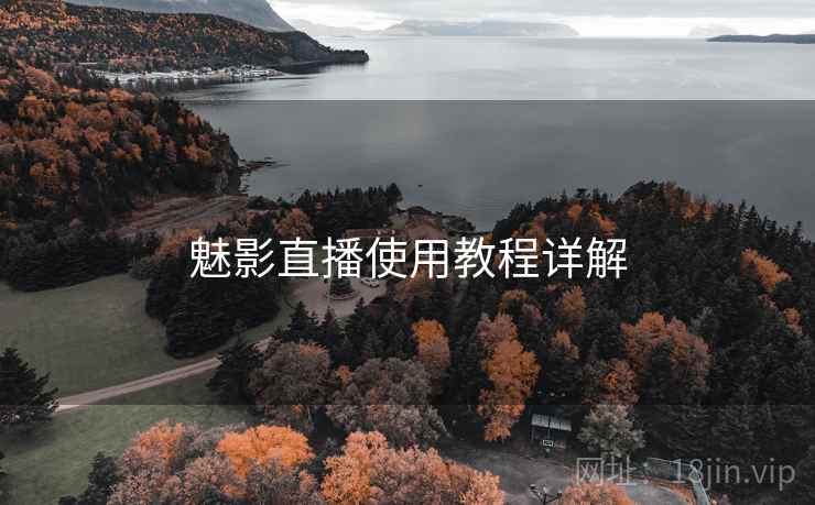 魅影直播使用教程详解