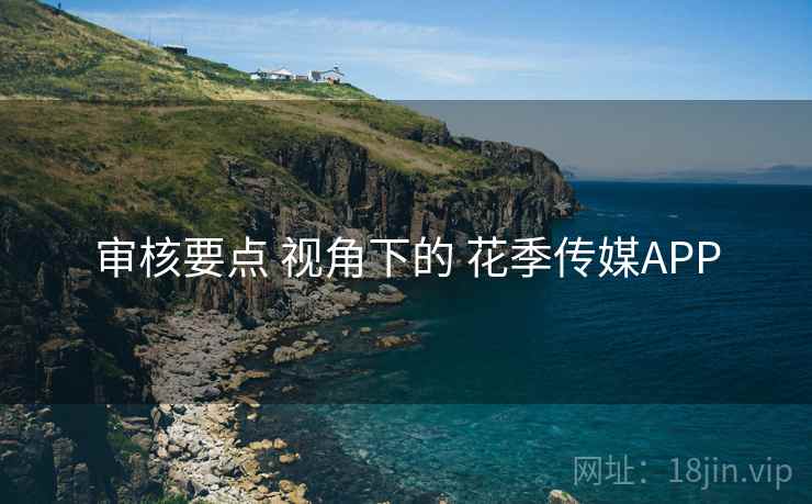 审核要点 视角下的 花季传媒APP