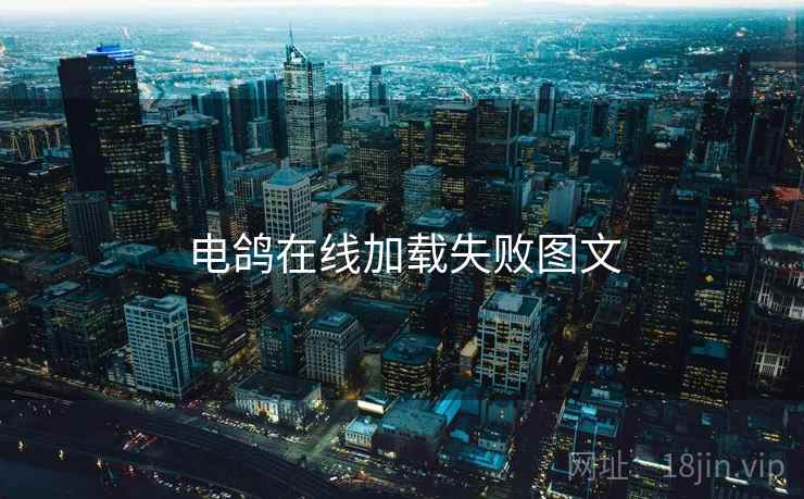 电鸽在线加载失败图文