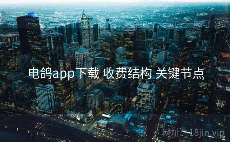 电鸽app下载 收费结构 关键节点