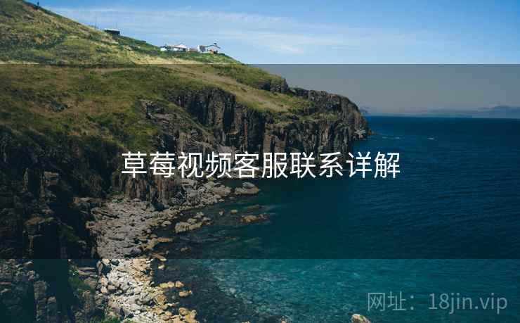草莓视频客服联系详解