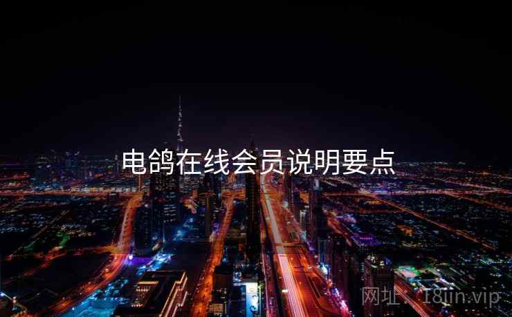电鸽在线会员说明要点