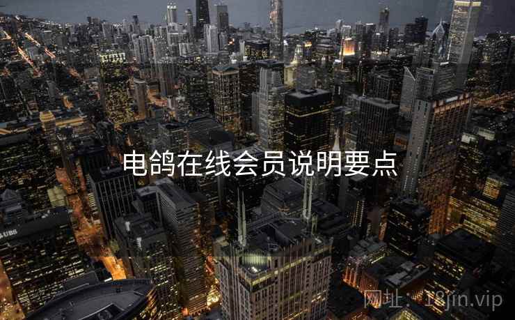 电鸽在线会员说明要点