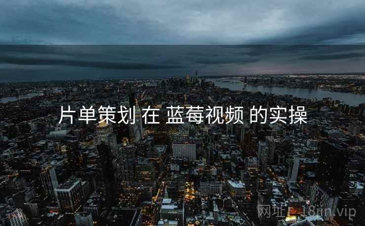 片单策划 在 蓝莓视频 的实操