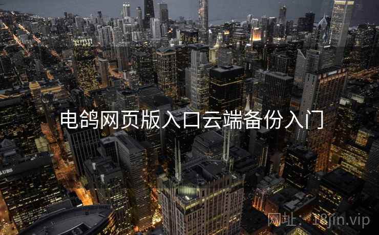 电鸽网页版入口云端备份入门
