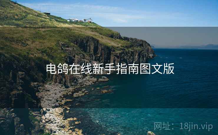 电鸽在线新手指南图文版