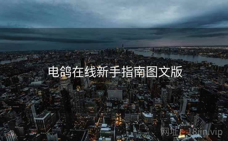 电鸽在线新手指南图文版