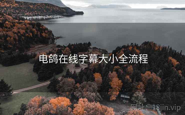 电鸽在线字幕大小全流程