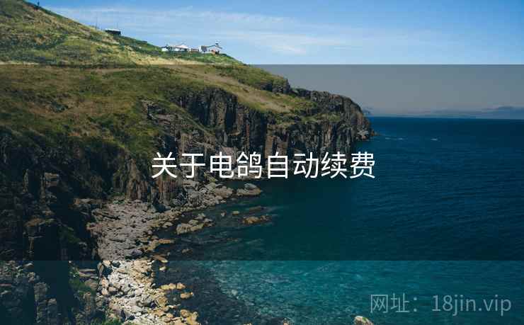 关于电鸽自动续费