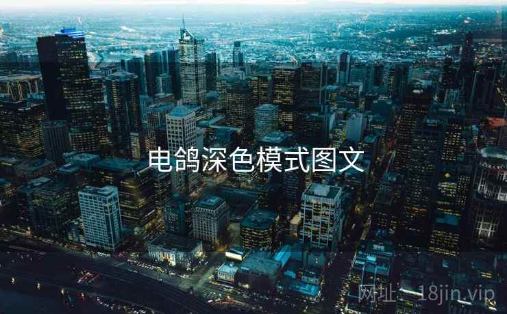 电鸽深色模式图文