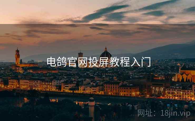 电鸽官网投屏教程入门