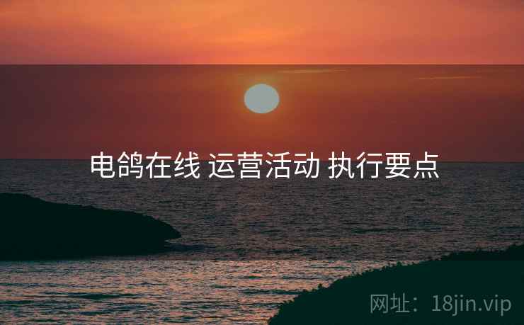 电鸽在线 运营活动 执行要点