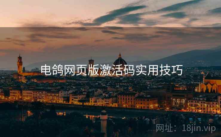电鸽网页版激活码实用技巧