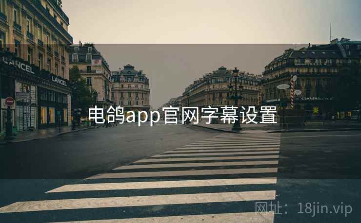 电鸽app官网字幕设置
