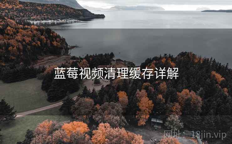 蓝莓视频清理缓存详解
