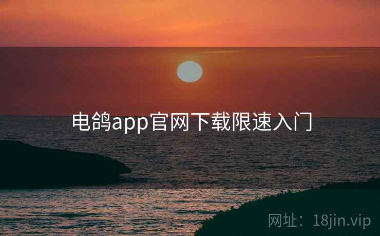 电鸽app官网下载限速入门