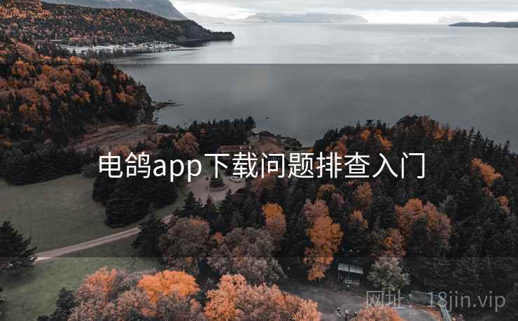 电鸽app下载问题排查入门
